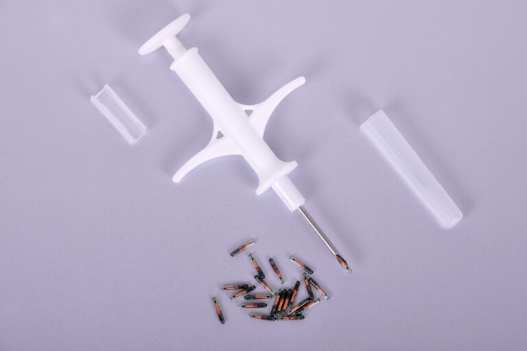 чипирование животных