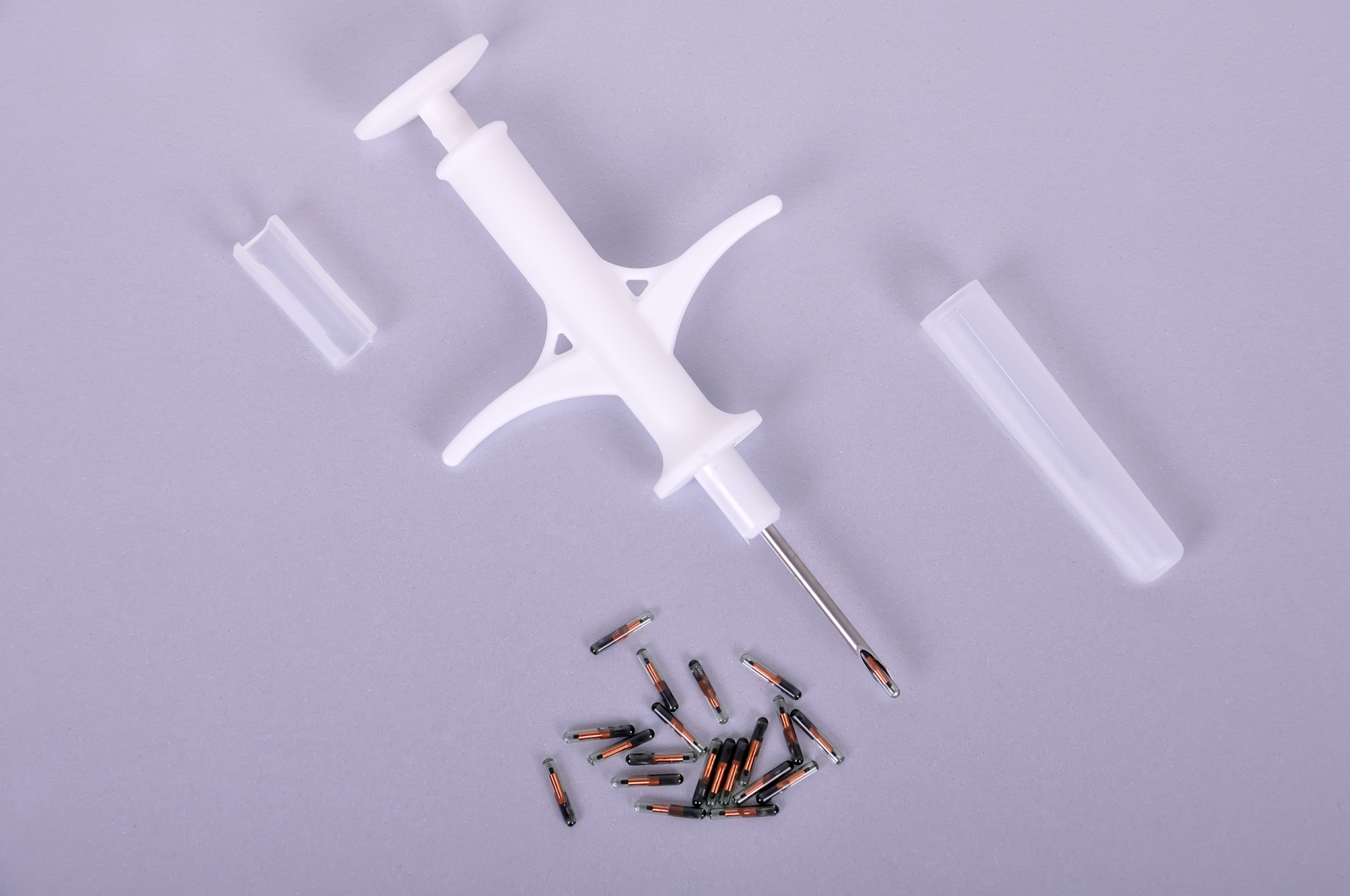 Чип для чипирования собак. Вакцинация после чипирования. Вакцина чипирование людей. Чипирование прививками. Вакцинация после чипирования.